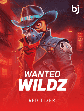 Wanted Wildzpng game cover